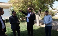 جلسه بررسی ساخت و جانمایی جهت احداث مرکز بایگانی اسناد پزشکی بیمارستان امام خمینی(ره)