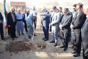 -کاشت-نهال-سلامت